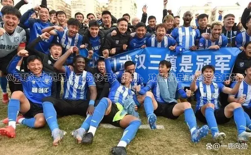 长征平台登录慧博云通《足球运动员场上穿的袜子：风格、功能和品牌选择全解析》
