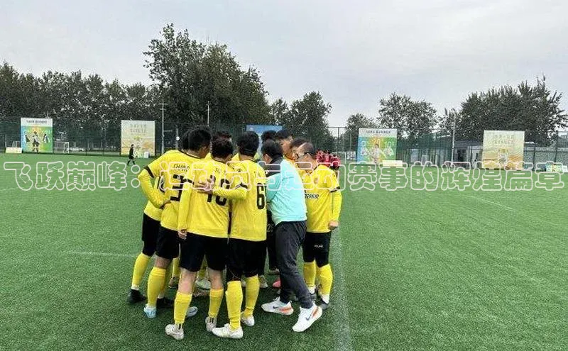 飞跃巅峰：运动员与运动赛事的辉煌篇章