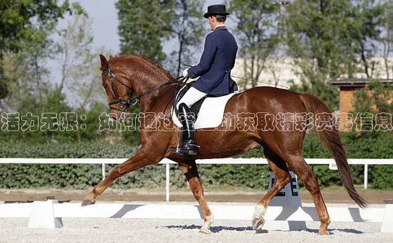 长征注册官网入口