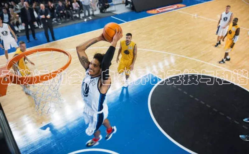 长征娱乐官网登录入口