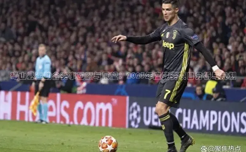 砀山县运动会赛事回顾与展望：2023年度竞赛项目分析与规划