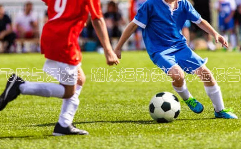 飞跃与活力：蹦床运动赛事体验报告